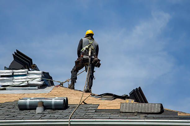 Professional Gutter Installation technician working in Louisa, VA